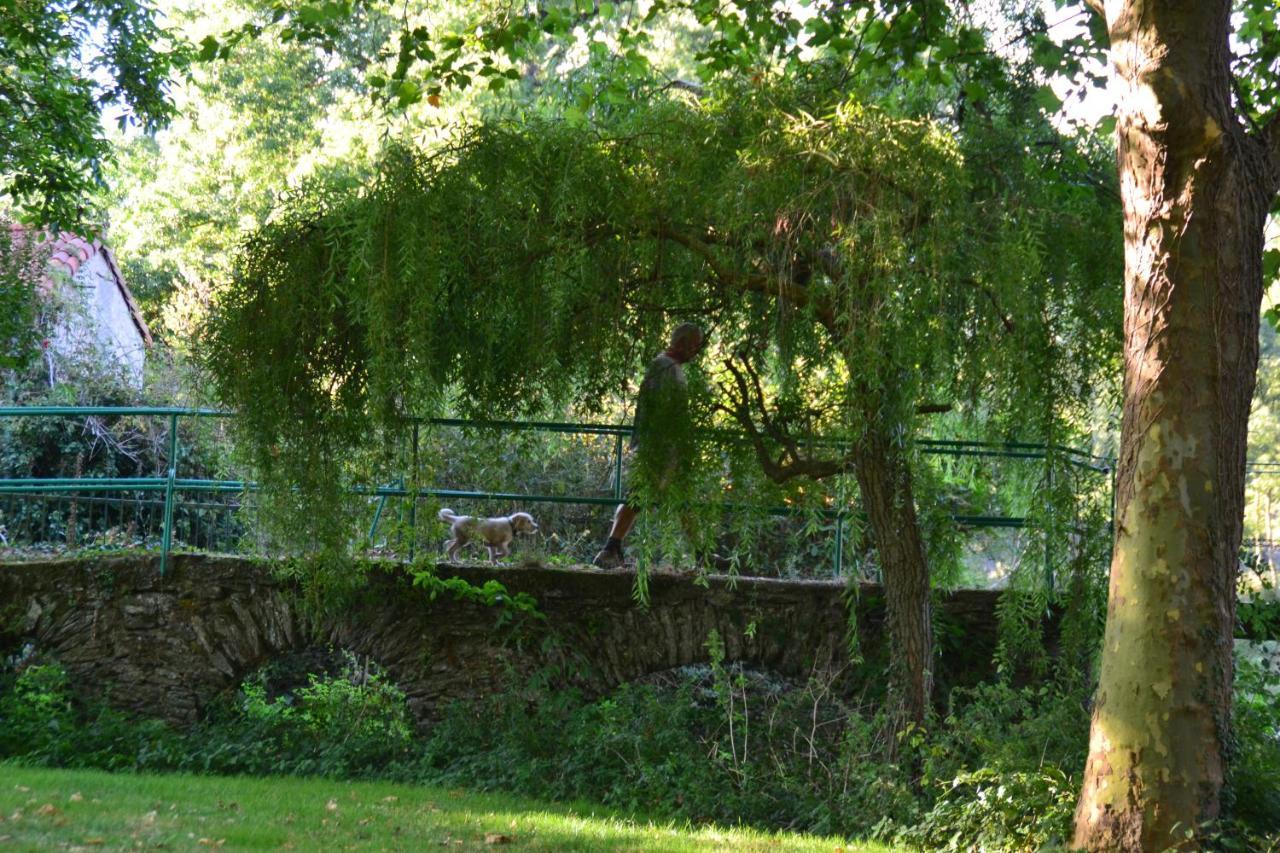 Le Moulin Neuf Villa Beaupréau-en-Mauges Dış mekan fotoğraf