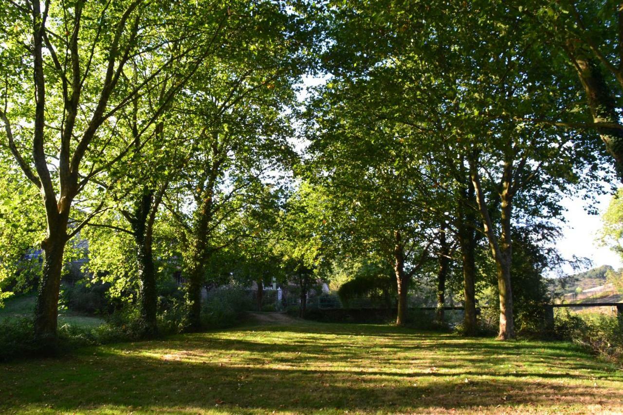 Le Moulin Neuf Villa Beaupréau-en-Mauges Dış mekan fotoğraf