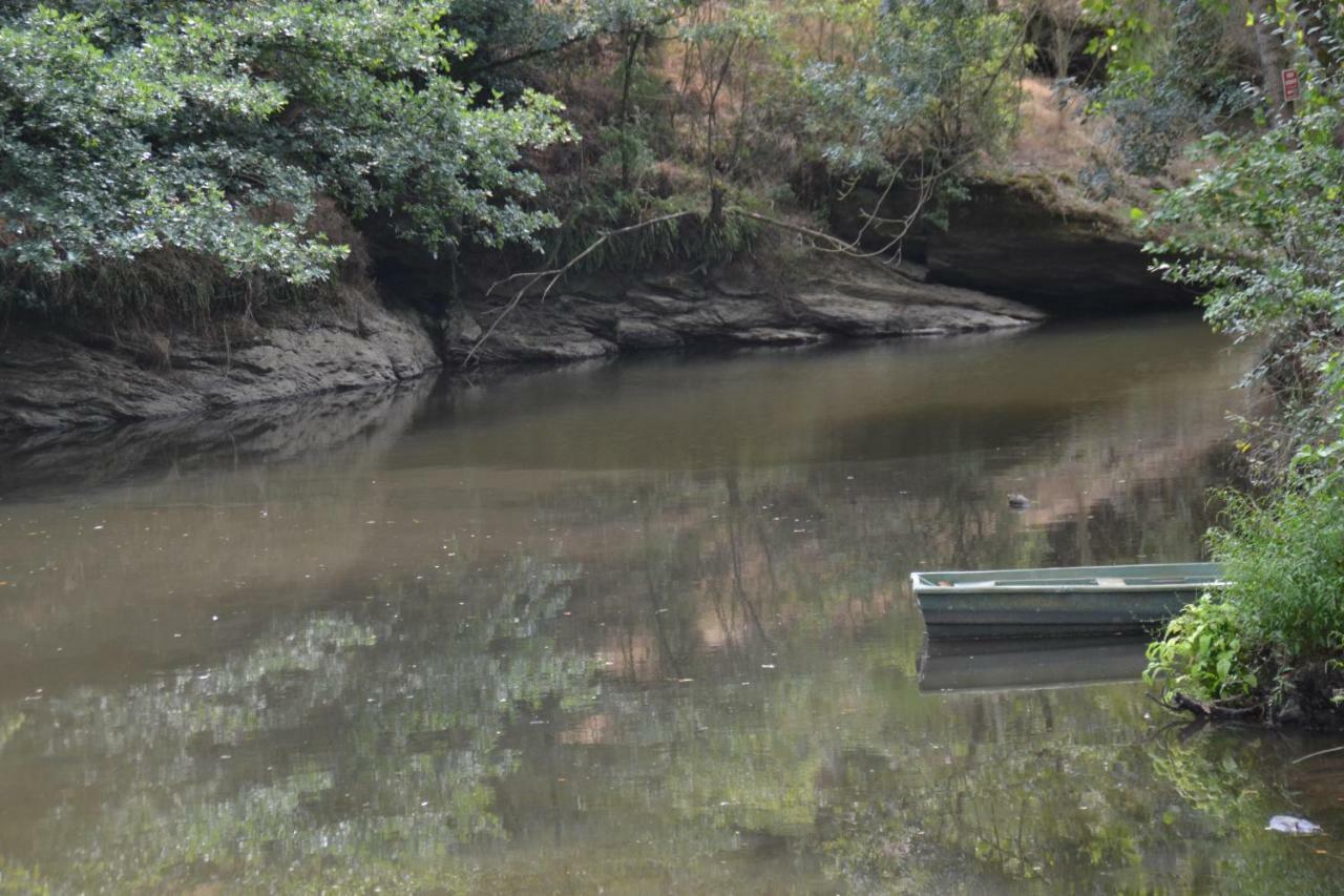 Le Moulin Neuf Villa Beaupréau-en-Mauges Dış mekan fotoğraf