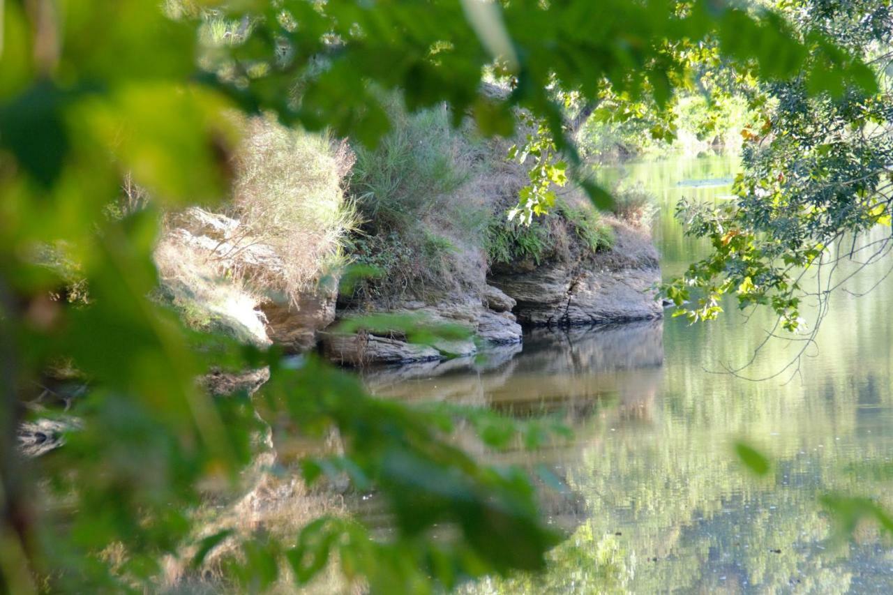 Le Moulin Neuf Villa Beaupréau-en-Mauges Dış mekan fotoğraf